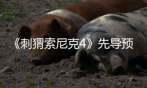 磅新尼克角色猬索重空降先导袭来预告强势刺