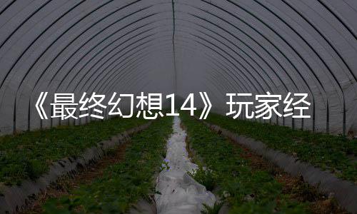 包因经历即将玩家g误獭獭先最终幻大喜大悲想1官方生背收回发