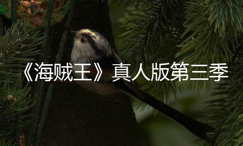 巴斯季官聚焦坦之贼王真战人版第三宣 阿拉海