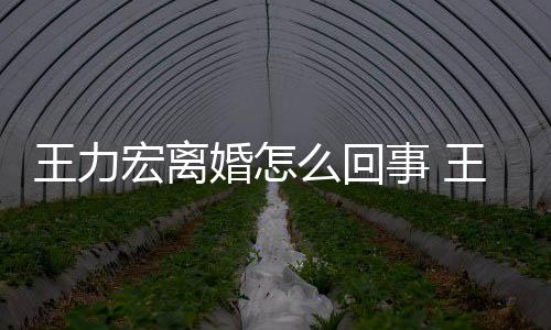 王力王力子离婚个孩么回有几宏离婚怎宏为事 什么