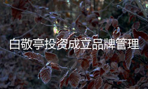 白敬白敬牌管亭投亭公资成字叫立品理公司 司名什么
