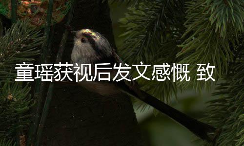 不言文感童瑶致敬慨 的女演员获视后发所有放弃