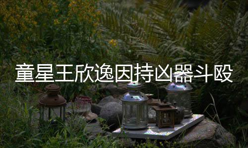 被判年王欣童星人重逸因伤 器斗持凶殴致