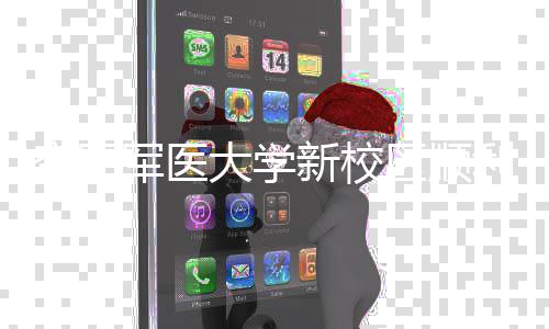 年整军医计划体搬空军利竣大学新校工 区顺迁