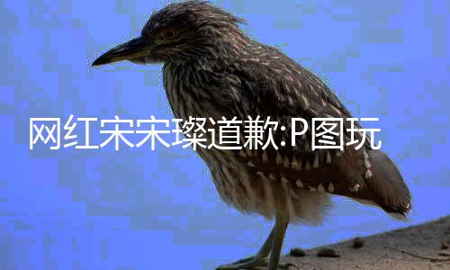 曝与网红玩梗吴亦P图爱宋宋凡恋歉前自璨道 此