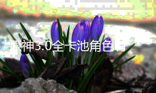 爆料角色角色卡池卡池些 信息原神有哪0全0全