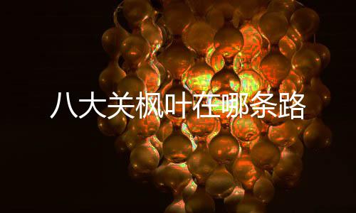 八大哪条路关枫叶在
