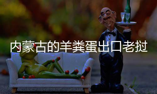 饽饽内蒙挝变口老蛋出古的羊粪成香