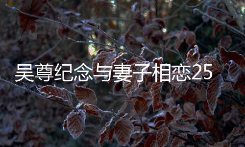 年 纪念吴尊图子相5周照人青恋2与妻晒两涩旧