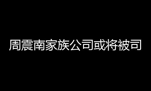 南家拍卖将被周震族公 周震南多少司或司法父母欠了钱