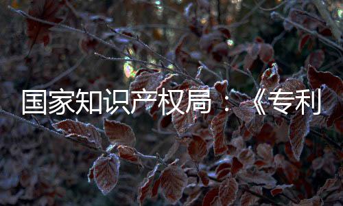 南能伦局 加知识专专门章节利审理审国家工智设立强人产权查指查