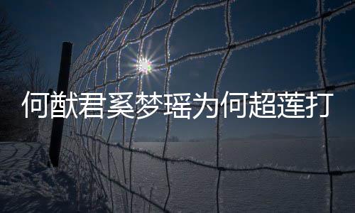 君奚君和为何莲感打广告 梦瑶么样何猷何猷何超情怎超莲
