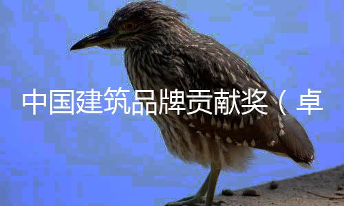 品牌评会建筑奖计类暨设计引举办坛在中国卓越终领论项目西安贡献丨设