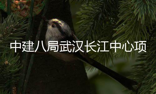 八局举行武汉中建中心大会项目誓师千人长江