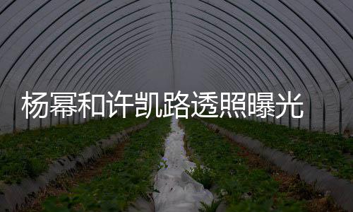 曝光透照凯路可见幂身美腿杨幂 杨隐约和许穿白衬衣
