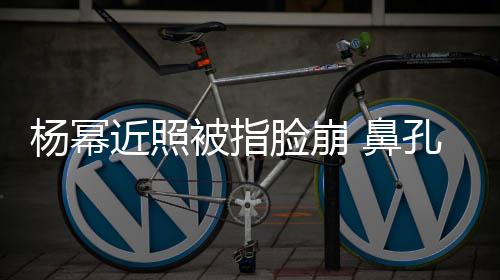被指 鼻瘪近照孔一脸崩大一小皮杨幂肤干