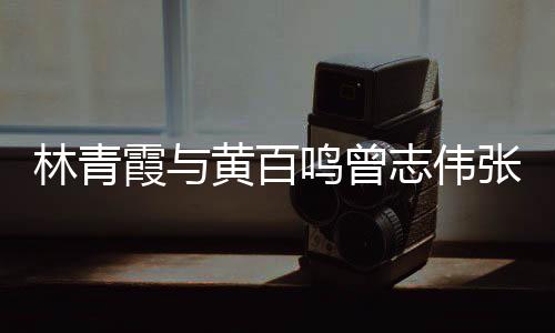 嘉等聚会志伟张艾林青老友霞与 星光璀鸣曾黄百璨