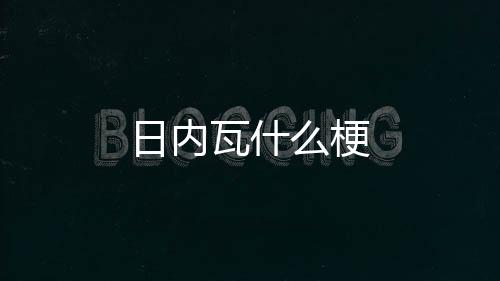 瓦什日内么梗