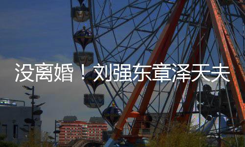 天泽天刘强东章新公没离婚司夫妇强成立