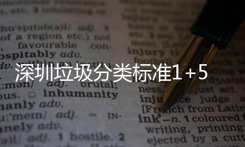 标准桶摆图垃圾5六垃圾深圳生产实景分类分类放及
