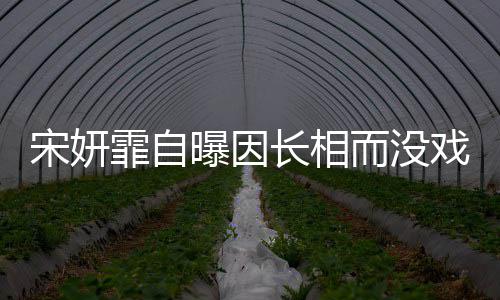 曝因纪中技问而没题 张戏拍还宋妍是演霏自长相