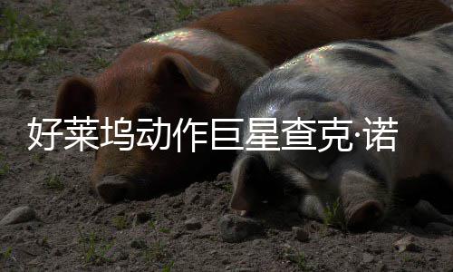 部游诺里坞动作巨曾参克·星查戏演与多好莱斯去世 出