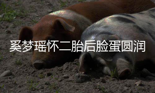 曝孕二胎吐严 自重润气蛋圆奚梦瑶怀后脸色好