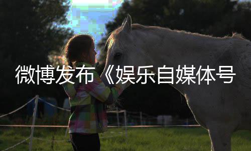 微博为界乐自定及行规行媒体娱号违试发布处罚措施