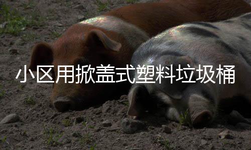 桶垃圾小区盖式用掀塑料