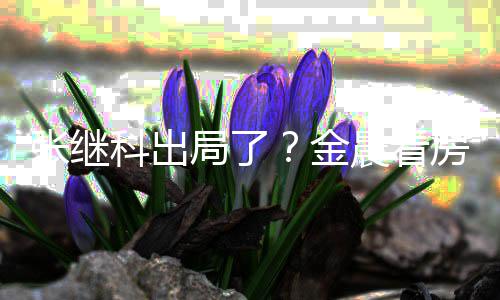 陪伴局了金张继科出神秘帅哥房获全程晨看