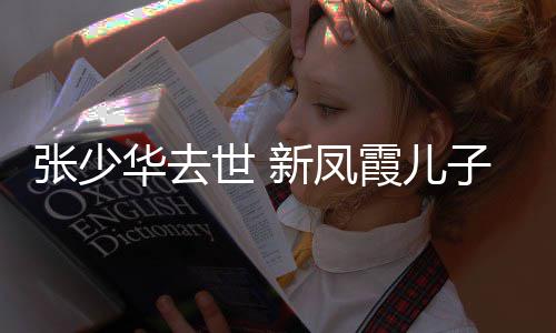 不必文张少子发再提新凤霞儿过去华去世 是非