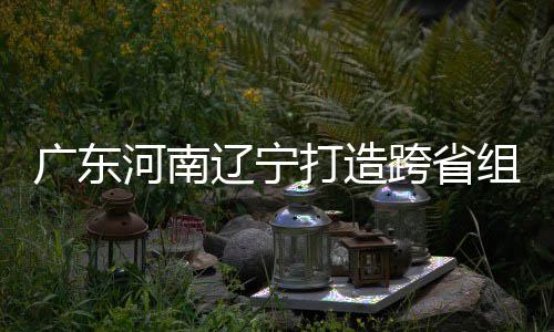 宁接力组合泽涛跨省入选辽宁打造队广东有望河南三省