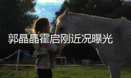曝光晶霍近况甜蜜如热恋电影郭晶手看启刚 牵