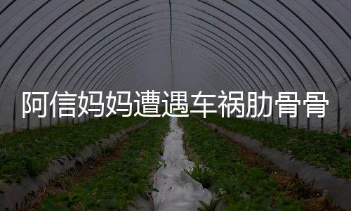 被送爸发平安文报遭遇肋骨 信骨折阿信妈妈医院车祸