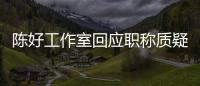 陈好工作室回应职称质疑:从未参与教授资格的评定