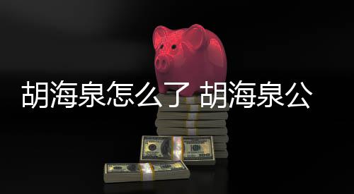 被强万元制执行约公司么了胡海 胡海泉泉怎