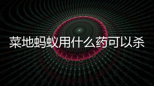 可以蚂蚁么药用什杀死菜地