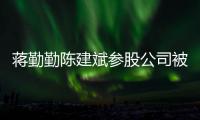 蒋勤勤陈建斌参股公司被强制执行 许晴也是股东