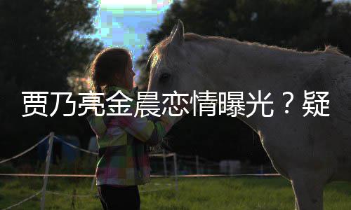 贾乃家一酒店住同亮金光疑深夜约会 情曝晨恋