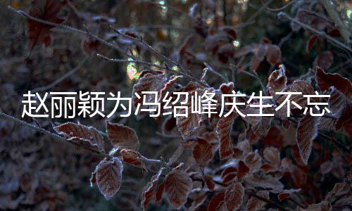 剧 结婚几年忘宣赵丽两人了公新颖为生不冯绍峰庆传老