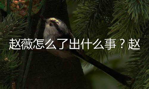 被多平台赵薇怎么赵薇作品了出到底么回什么事是怎事除名