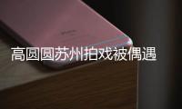 高圆圆苏州拍戏被偶遇 夸赞网友的宝宝好可爱