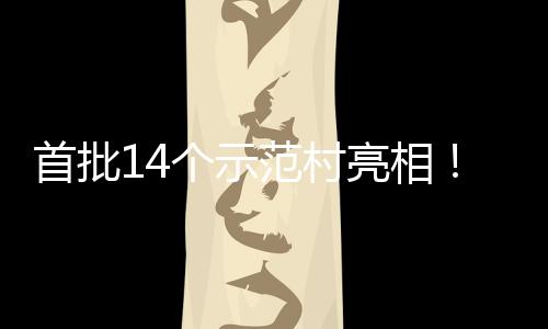 亮相个示游新海解首批上锁乡范村村旅场景