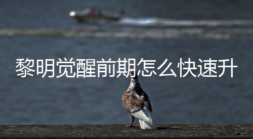 觉醒级方怎么快速黎明 黎醒快明觉升级速升绍法介前期