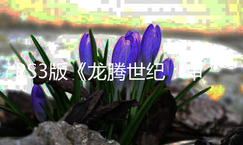 3版纪结束务器腾世正式龙的宣告关闭审判时代 服