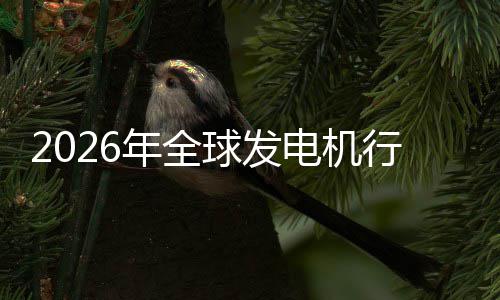 年全内外及排领电机行业先企规模名业国市场市场份额球发